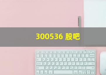 300536 股吧